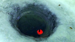 Ловля окуня зимой на живца.