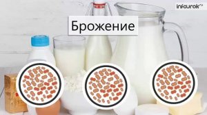 7. Роль бактерий в природе и жизни человека