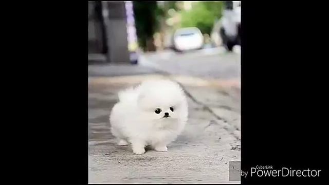 Класс смотреть онлайн