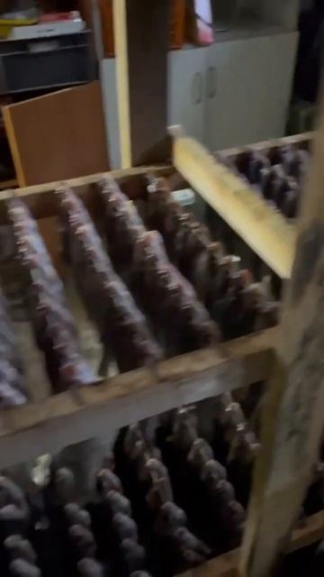 Вяленая рыбка чебак