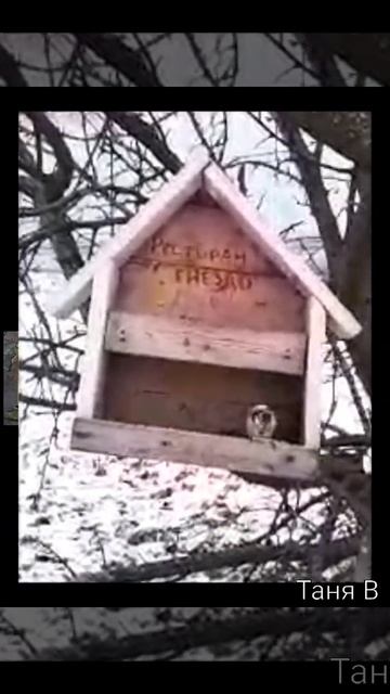 ЗИМНИЕ ЗАБОТЫ ...