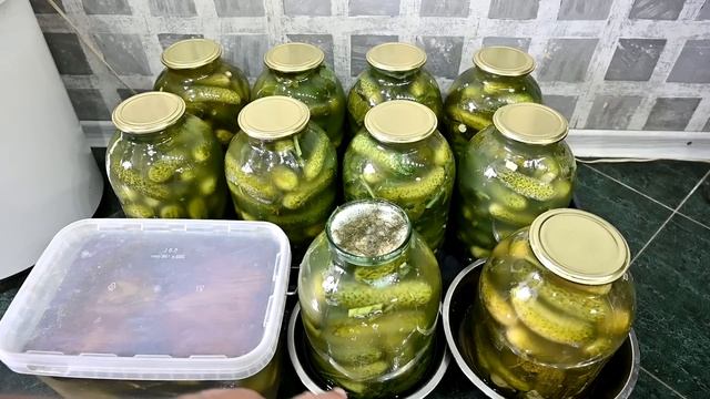 БОЧКОВЫЕ ОГУРЦЫ на ЗИМУ! ХОЛОДНЫЙ СПОСОБ! БЕЗ УКСУСА! SALTED CUCUMBERS! Выпуск №809