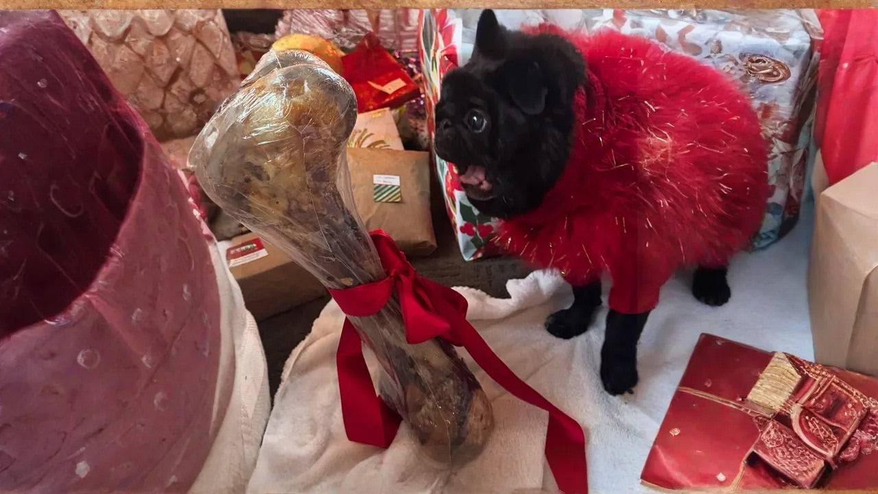 UNUSUAL MEMES COMPILATION V105 (meme.mp4)