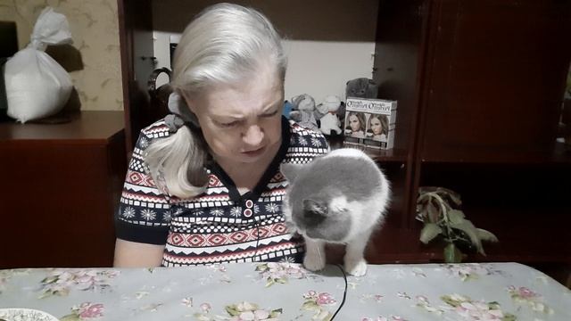 10-03-2025 покушаем /мукбанг/food смотреть онлайн