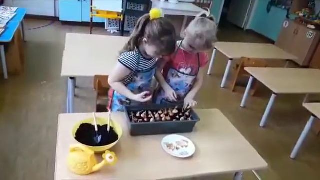 Мы сажали огород смотреть онлайн