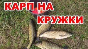 КАРП НА "КРУЖКИ". МНОГО СХОДОВ, НО РЫБКИ НАЛОВИЛ!