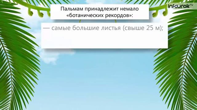 11. Разнообразие, распространение, значение растений смотреть онлайн
