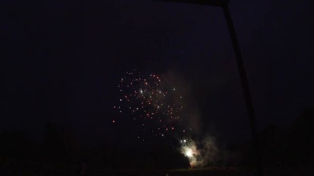 LF-PSF 50s Fan Shape Pink Peony W/ Silver Strobe