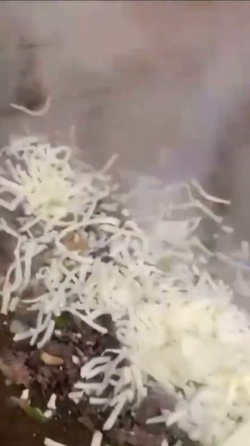 Philly Cheesesteaks | Fries | IG: @Rickyssubshop