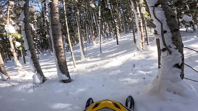 08.03.2025 г. Сахалин/BRP SKI-DOO TUNDRA 550LT