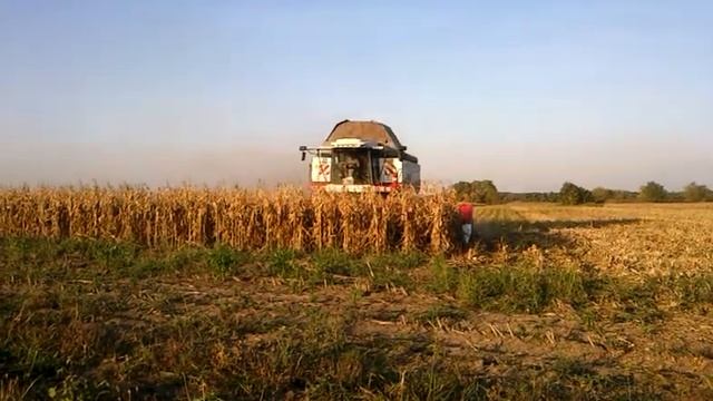 Argus 1210 (video4).mp4 смотреть онлайн