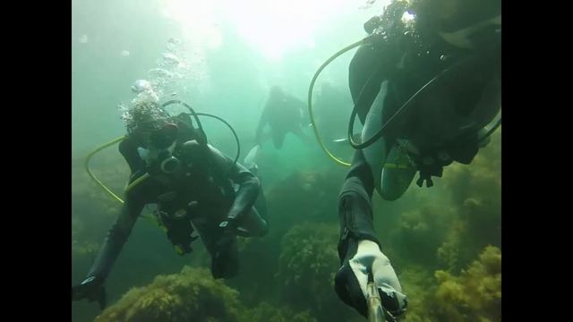 Отдых в Севастополе. Дайвинг . scuba diving NDL course смотреть онлайн