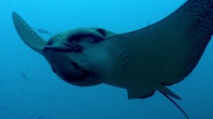 BBC: Галапагосы 3 серия «Силы перемен» (документальный сериал, 2006)