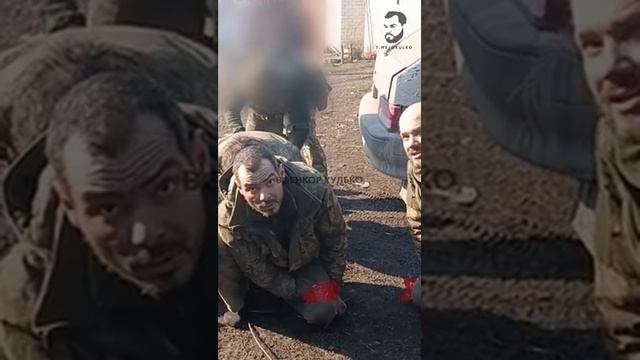 Пленные ВСУшники, которым повезло попасть в плен в освобожденном российскими войсками Поречном смотреть онлайн