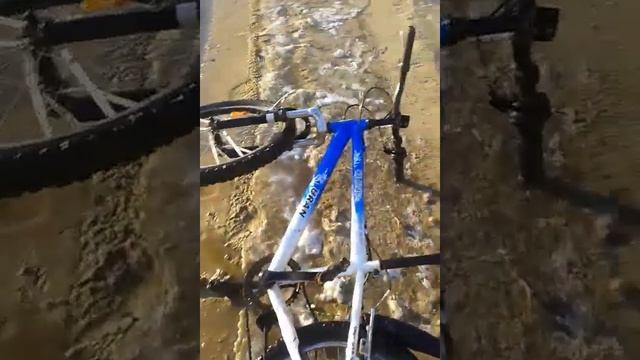 Пошел купаться смотреть онлайн