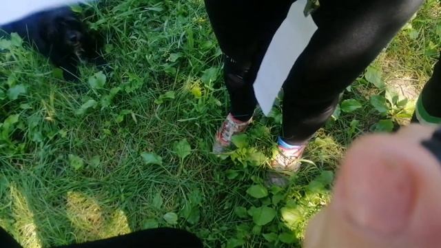 Тренировка по ориентирование 11.07.2021 смотреть онлайн