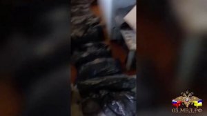 В Бурятии накрыли омулевую ОПГ