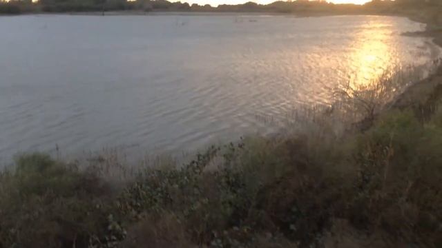 Терек разлив