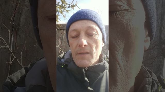 Весенние работы на пасеке. смотреть онлайн