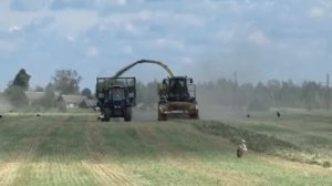 Уборка сенажа в СПК "Гигант"