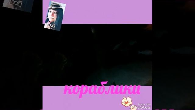 Влог/еду в океанариум во Владивостоке