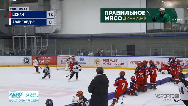 Кубок ФХМ 2014 г.р. ЛД Арктика А (04.04.2023) смотреть онлайн
