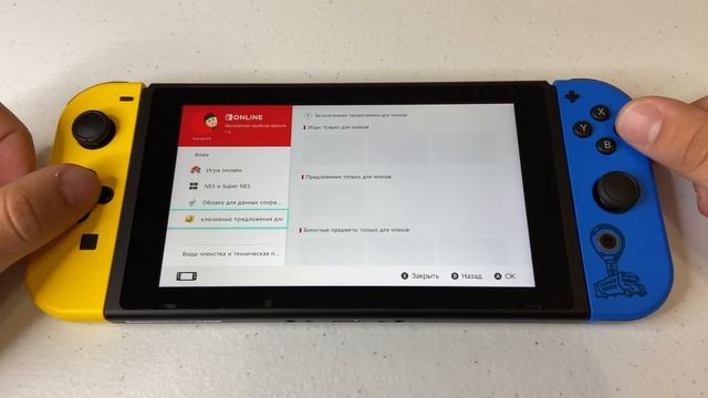 NINTENDO SWITCH ИНТЕРФЕЙС смотреть онлайн