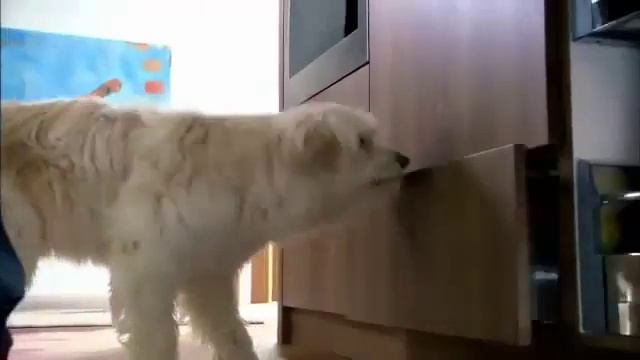 Кухня моей мечты. смотреть онлайн