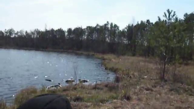 чудеса природы смотреть онлайн