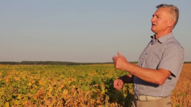 Классика или все же No till, сожгли точку роста смотреть онлайн