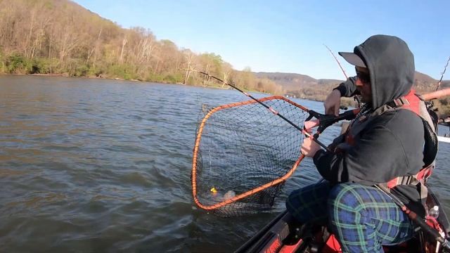 King of the Tennessee & 3 Flats on 3 Techniques смотреть онлайн