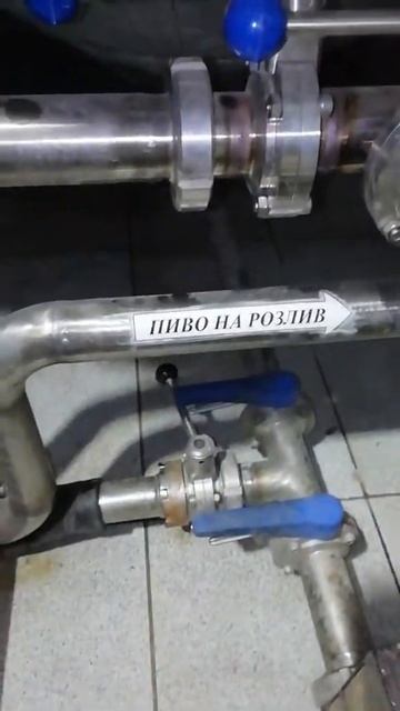 Камышинский пивзавод