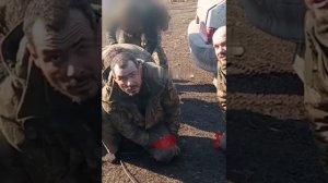 Пленные вСУшники из освобождённого Черкасского Поречного
Более 10ти рыл из 80й бригады ДШВ.