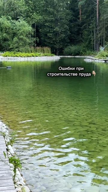 ⚠️7 ошибок, которые превратят пруд мечты в болото! смотреть онлайн