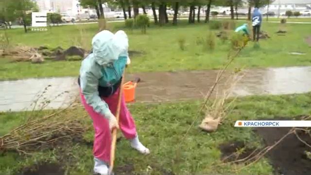 31052023 Енисей 011 смотреть онлайн