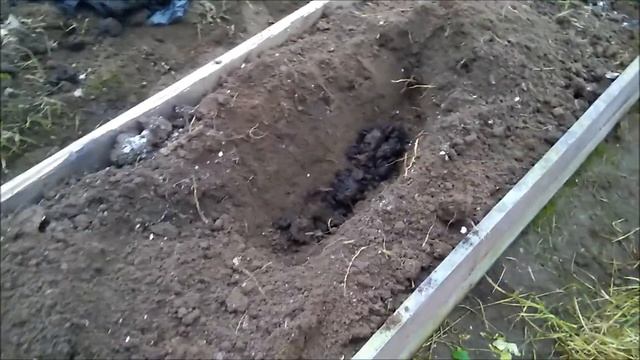 Грядки в теплице на севере ЛО, часть-1. смотреть онлайн