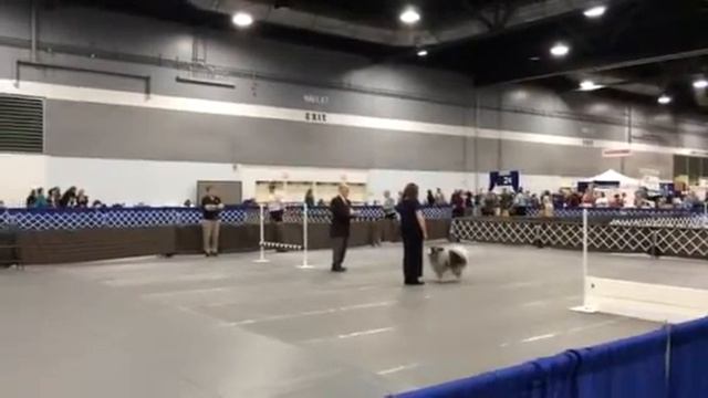 Lupin Utility 1/23/16 Part 3