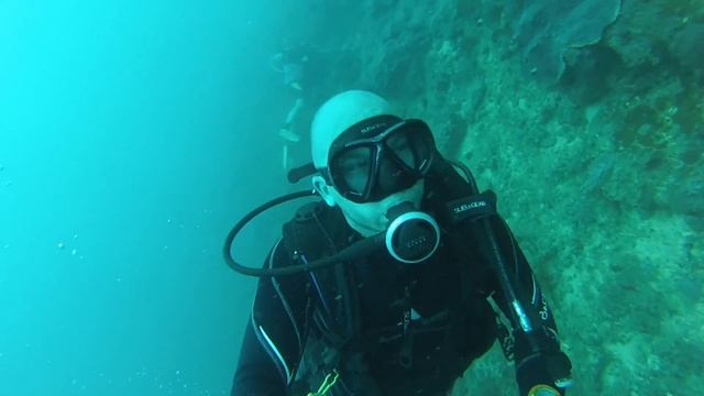 Scuba diving in the indian ocean with Peponi divers Mombasa смотреть онлайн