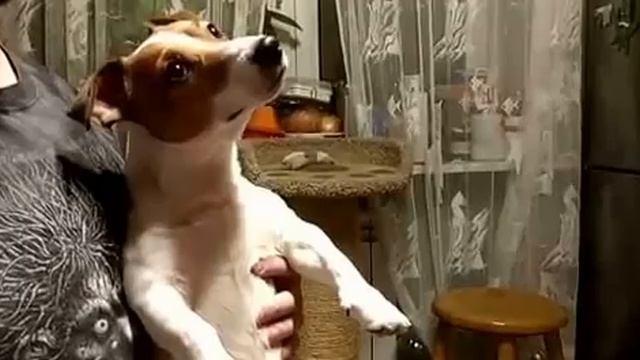 Поедешь? смотреть онлайн
