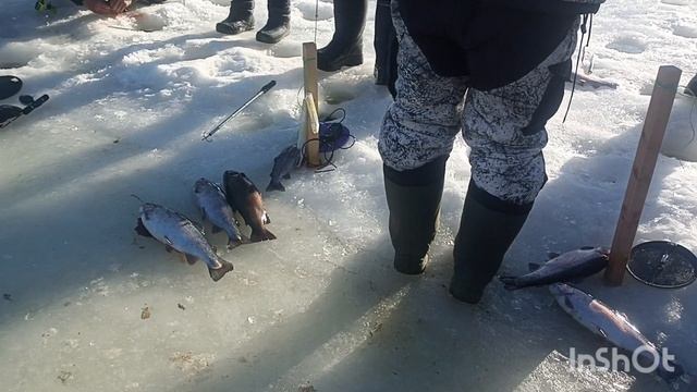Хорошая погода и рыбалка смотреть онлайн