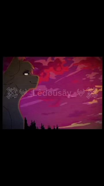 #КотыВоители#Ласточка#Грач