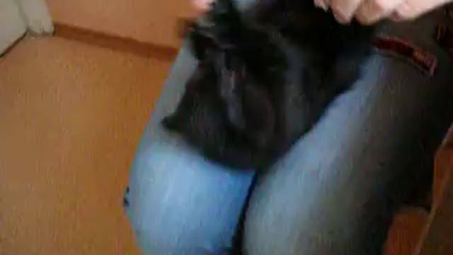 Котик ест масло смотреть онлайн