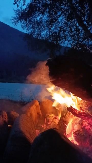 На берегу Чуи у села Чибит