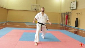 КАТА ТАЙКИОКУ СОКУГИ СОНО ИЧИ| БАЗОВАЯ ТЕХНИКА В КАРАТЭ | СПОРТИВНЫЙ КЛУБ КИОКУСИНАКАЙ КАРАТЭ ИППОН|