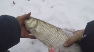 На рыбалку в  КАЙские леса, на  р.Каму.