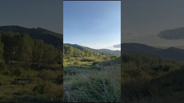 Верх-Каянча - Надеждинки смотреть онлайн