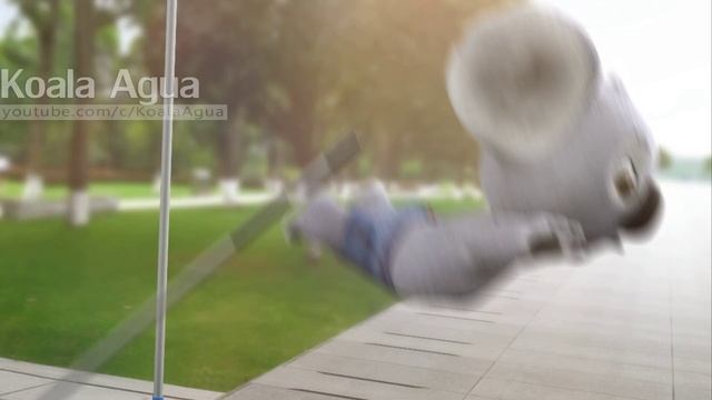 Cute Baby Koala Failed To Jump Over The Pole In The Park