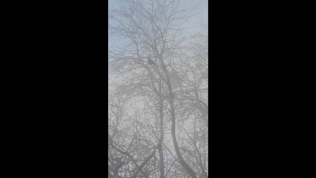 Покатушки + бонус от коллеги ))) смотреть онлайн