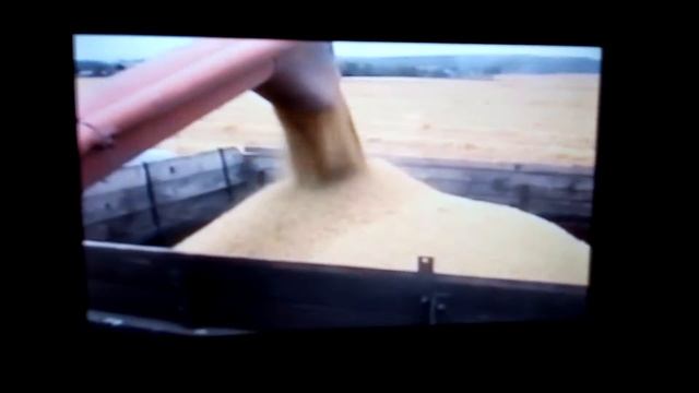 спк кузнецовский уборка урожая смотреть онлайн