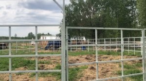 Сборно-разборная КОНСТРУКЦИЯ | БОЧКА для РАБОТЫ с ЛОШАДЬМИ